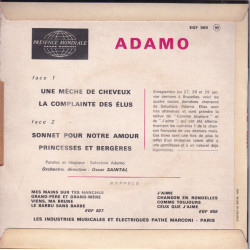 Une Mèche De Cheveux