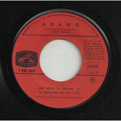 Une Mèche De Cheveux