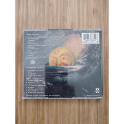 Mellon Collie and the Infinite Sadness