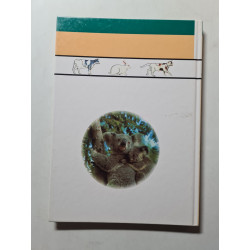 Les enfants découvrent… leurs animaux préférés