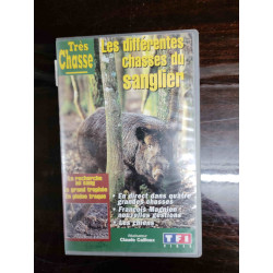 Les différentes chasses du sanglier