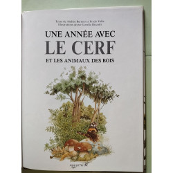 Une annee avec le cerf 032197