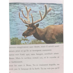 Le sentier des caribous