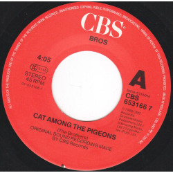 Cat Among The Pigeons