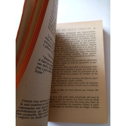 La mort du petit cheval