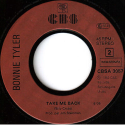 Total Eclipse Of The Heart