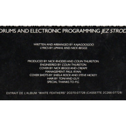 Too Shy (Hush Hush Eye To Eye)