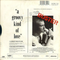 A Groovy Kind Of Love