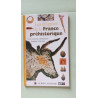 Les enigmes de la france prehistorique