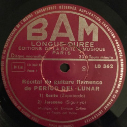 Guitariste “Flamenco”