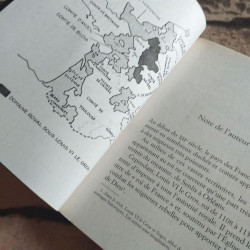 Le chevalier au bouclier vert