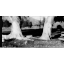 New Adventures In Hi-Fi