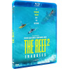 The reef : stalked [Blu-ray] [FR Import]