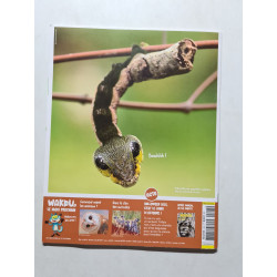 Wakou nº 403 - 2022 coucou petite marmotte