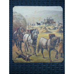 Lot de 9 gravures XIXème siècle Contes pour enfants à encadrer