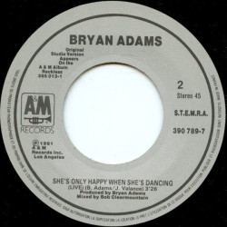 (Everything I Do) I Do It For You