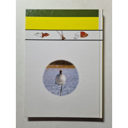 Les enfants découvrent...La vie des animaux