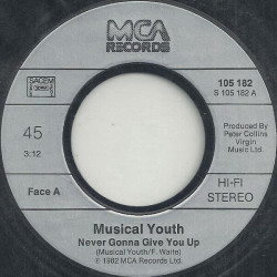 Never Gonna Give You Up