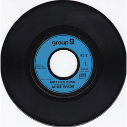 Breaking Dawn / Ann Mary