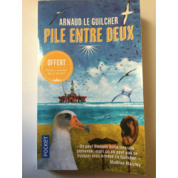 Arnaud le guilcher Pile Entre deux