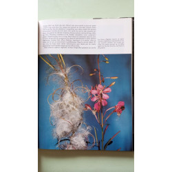 La vie cachée des plantes