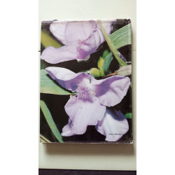 La vie cachée des plantes