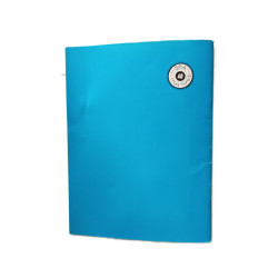 Apprenez à jouer : jeunes joueurs d'échecs