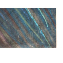 Madeleine claass Herbes folles pastels gras sur papier 65 cm x 50 cm