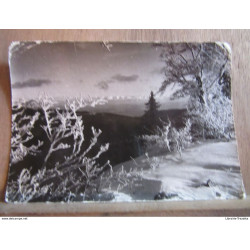 Sommet du Mont-d'Or (alt. 1463)