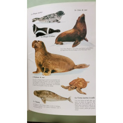 Animaux des amériques