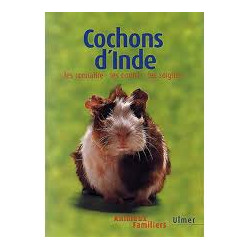 Les Cochons d'Inde