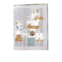 Le monde de la nature