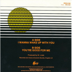 I Wanna Wake Up With You