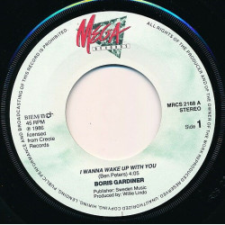 I Wanna Wake Up With You