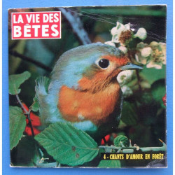 4 - Chants d'amour en Forêt
