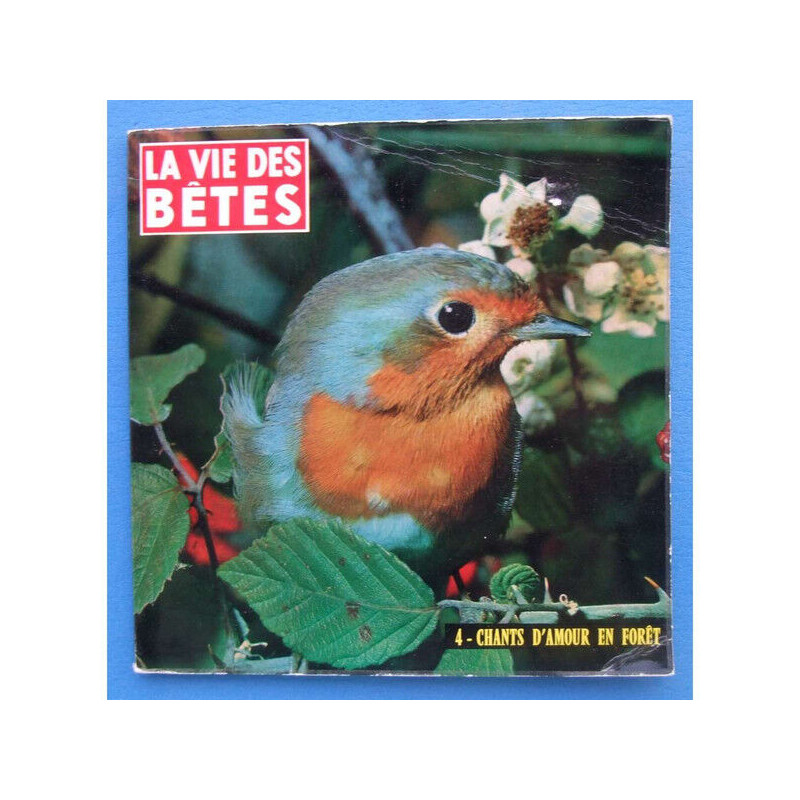 4 - Chants d'amour en Forêt