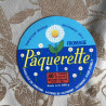 Pâquerette