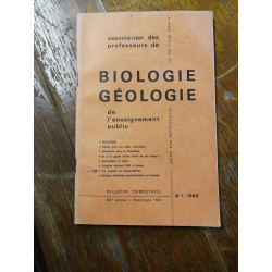 Le vicomte de Bragelonne VI