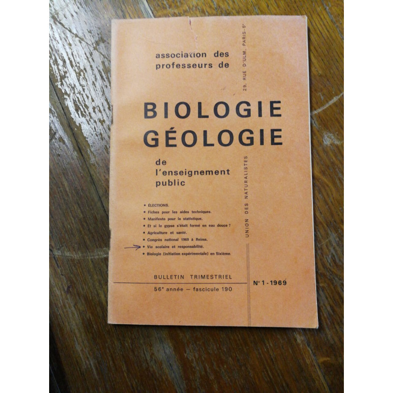 Le vicomte de Bragelonne VI