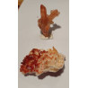 Lot de 2 Quartz hematoïde vanadinite sur barytine QHVB 3