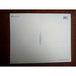 Carte Postale Grand Format La Fiancée de Frankenstein Printed USA....