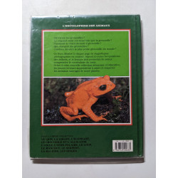 Grenouille et crapaud: Sur terre et dans l'eau