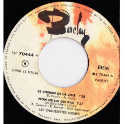 Le Chemin De La Joie