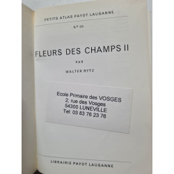Fleurs des champs II nº 20