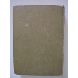 Sans famille - tome I