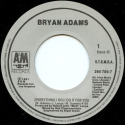 (Everything I Do) I Do It For You