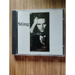 Nothing Like the Sun