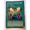 Bourse des Âmes DDY-F037 Yu-Gi-Oh