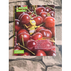 Wakou N.305 - Août 2014