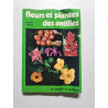Fleurs et plantes des Antilles